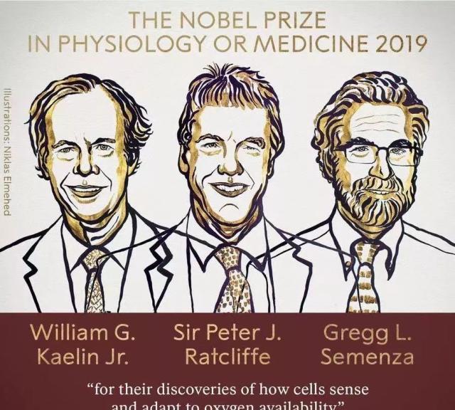 诺贝尔生理学或医学奖揭晓！