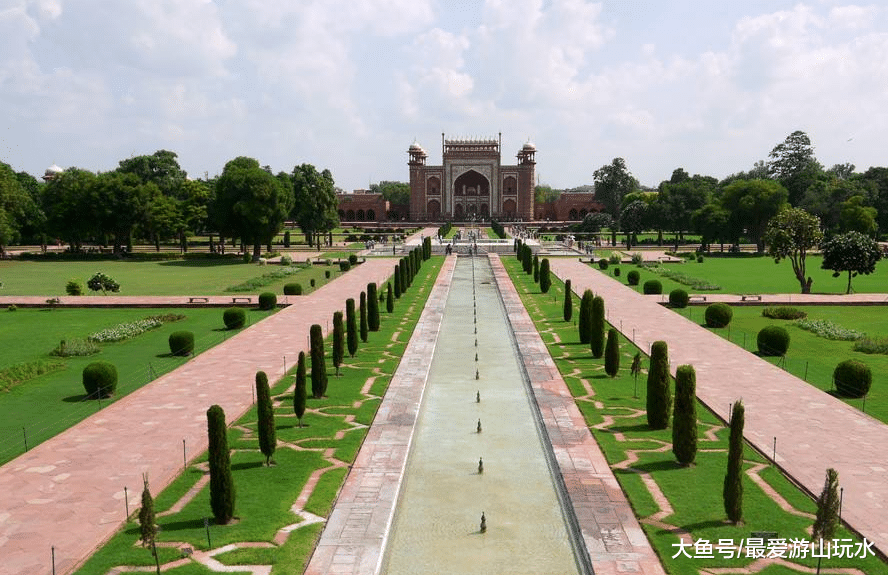它在古代印度是最神圣植物 在中国发现它 说明当地受拜火教影响 旅游资讯 存满娱乐网