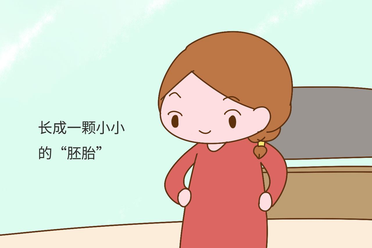 怀孕后前三个月胎宝在“忙”什么? 听听医生怎么说, 准妈别心急