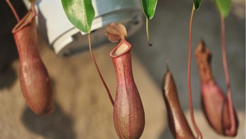 如何让客户接受你的产品