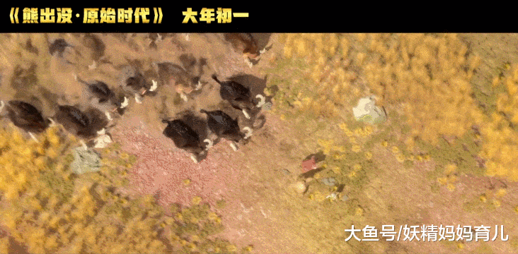 孩子不能看3D电影是真的吗？儿科医生说：这个年龄不能看