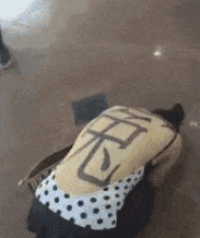 搞笑gif:单身30年,今天终于有了自己的女朋友,好激动!