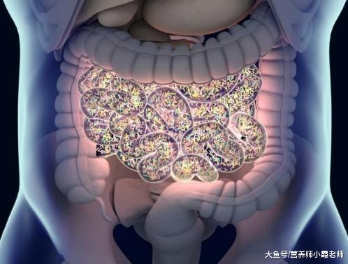 岂论男女,45岁后,若能“越过”五种疾病,恭喜无望活到百岁!