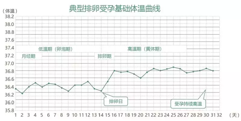 37度以上 生理前 基礎体温