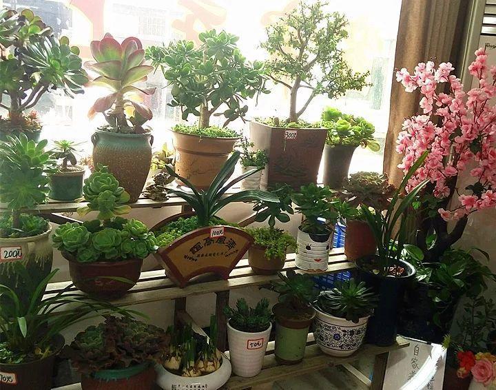 “伸手党”和“偷花贼”, 恨的牙痒痒, 看来只能出大招了!