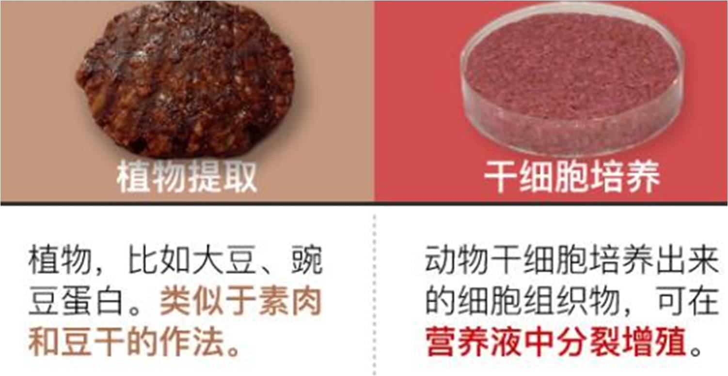 舌尖上的 超级网红 风口上的 人造肉 科技资讯 娱乐新闻网