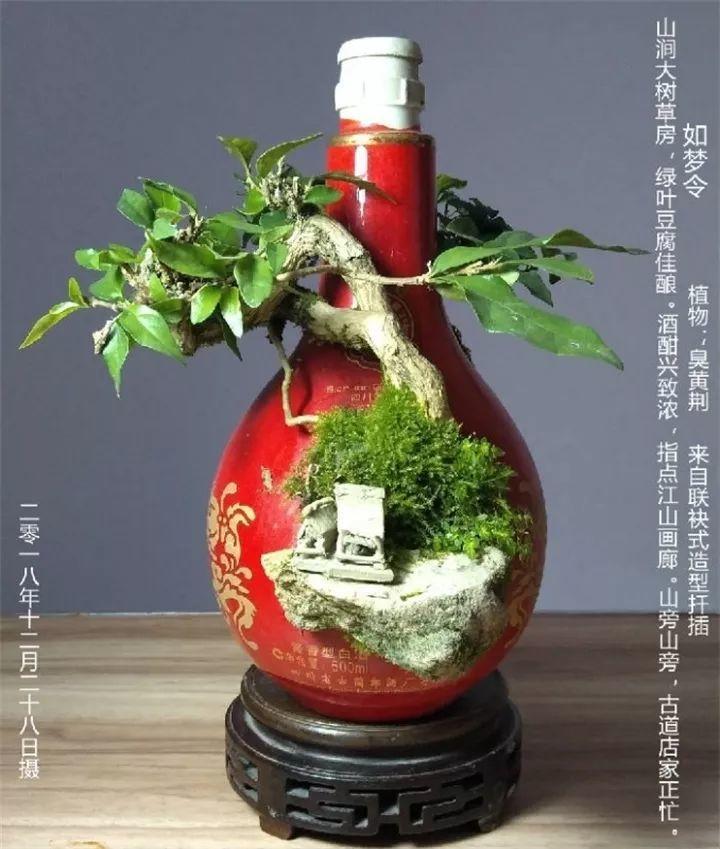 1毛钱的废酒瓶, 大爷钻孔种上花, 身价翻了几十倍!