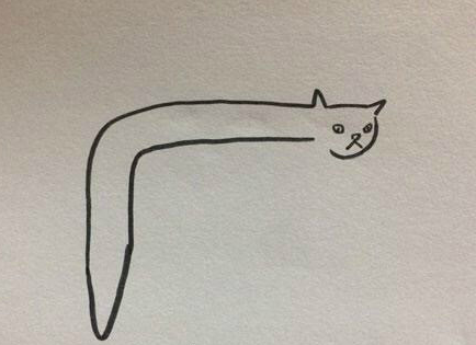 一网友儿子画的猫被老师打了零分