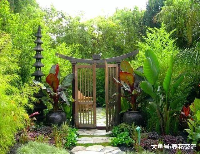 适合布置在院子前面的7种花卉植物, 搭配起来就完美了