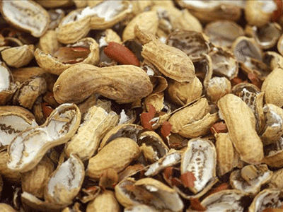 给花盆底垫上这“3样”料, 植株有劲长, 大白根更加壮!