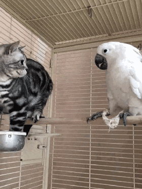 搞笑gif图: 假如时间停止了, 你最想做的事情是什么