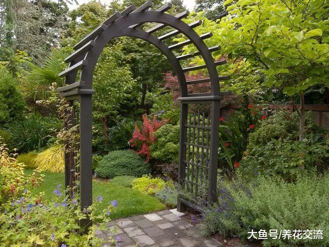适合布置在院子前面的7种花卉植物, 搭配起来就完美了