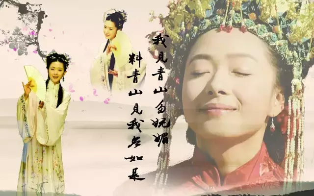 一身风骨柳如是: 如我身为须眉, 必当救亡图存, 以身报国!