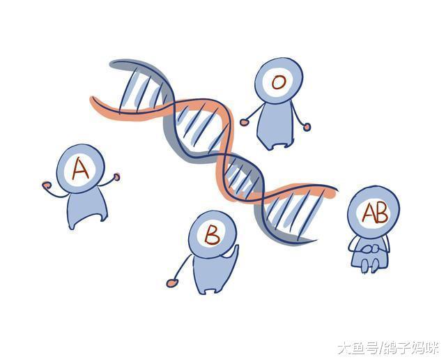 这两种血型孕妇最危险! 新生儿溶血症发生机率? 可以预防吗?
