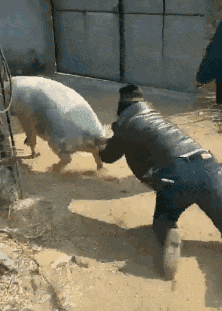 看来平时的饭没少吃