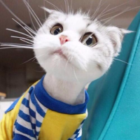 我很想很想和你