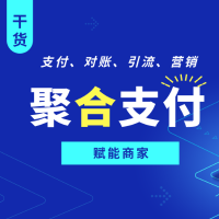 支付先生