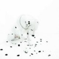 微笑要带眼泪才耐看