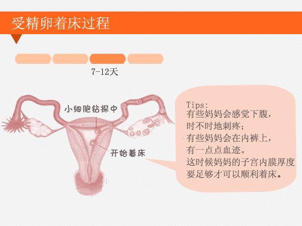 体温 着床出血 妊娠超初期症状の着床出血の時期と色や量、生理との違いの見分け方について