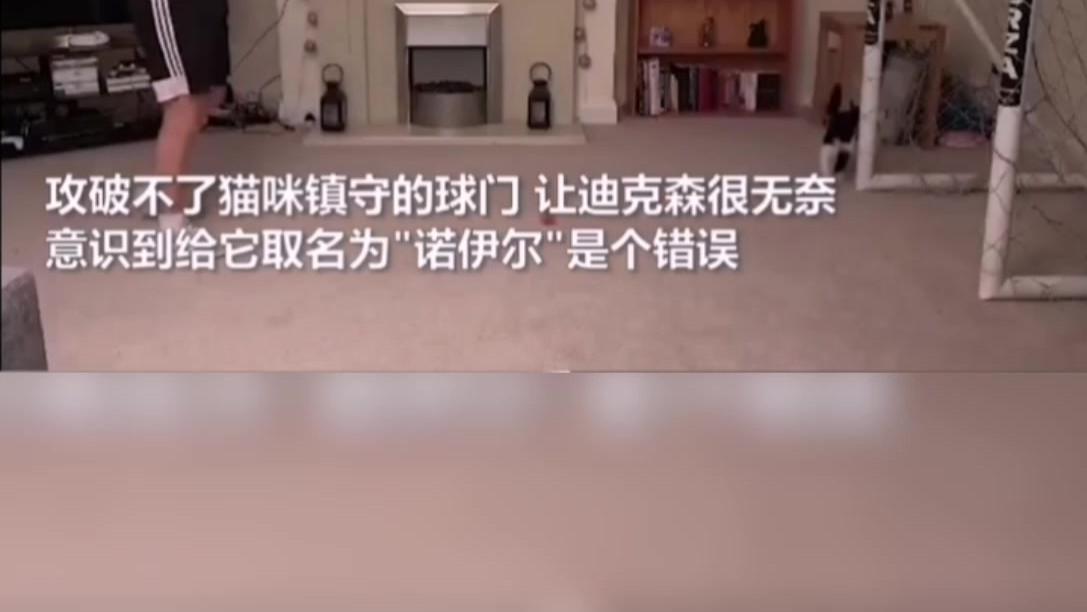 猫咪守门技术一流，与拜仁守门员诺伊尔同名