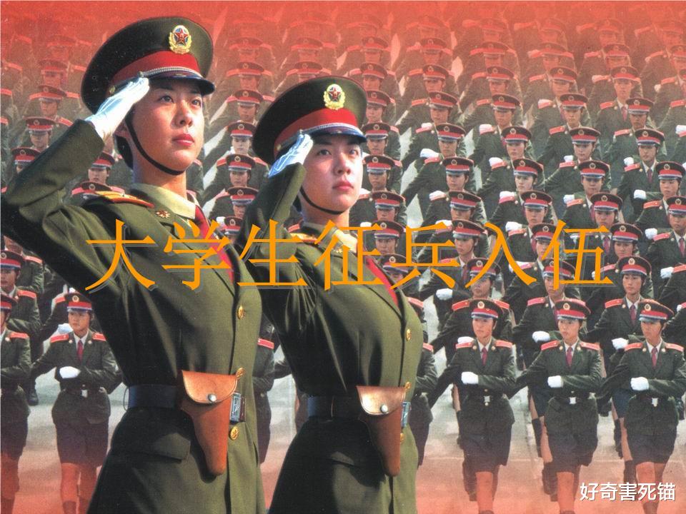 八戒游戏