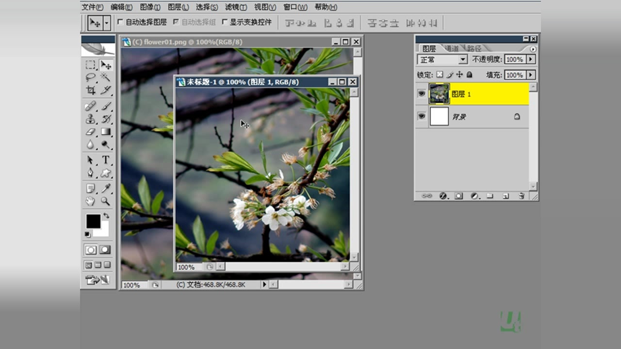 第31节 关于图层面积与可视区域