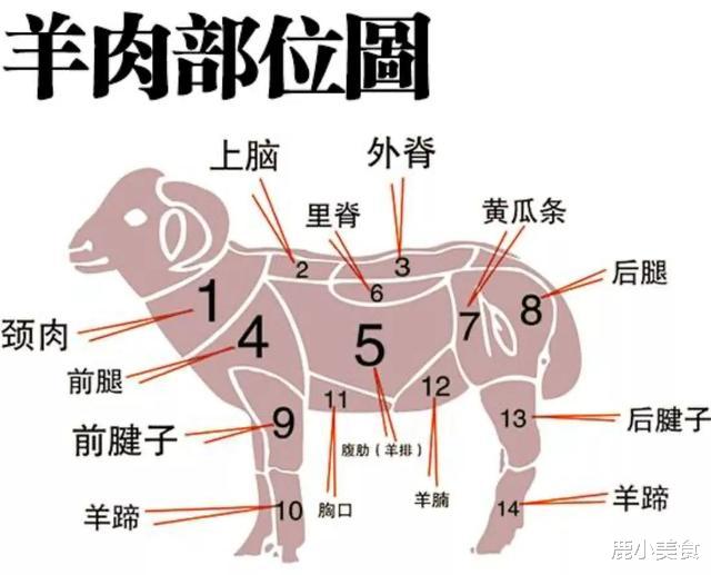 买羊肉时,行家专买"4个羊肉部位",好吃又不亏,不懂吃才可惜