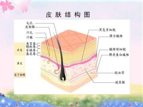 娱乐新闻