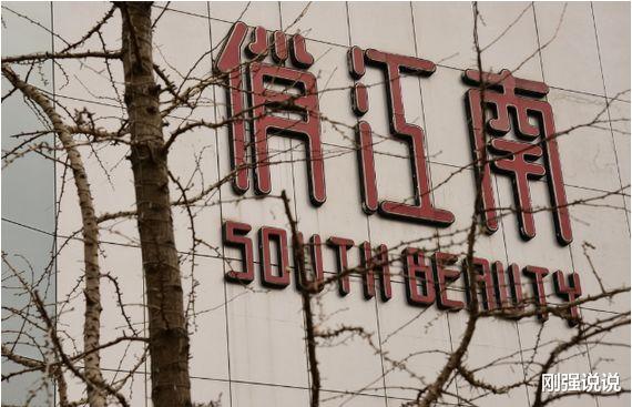 侠盗车手4秘籍_从身价25亿,到“一无所有”,“俏江南”创始人张兰做错了什么-第2张图片-游戏摸鱼怪 侠盗车手4秘籍_从身价25亿,到“一无所有”,“俏江南”创始人张兰做错了什么-第2张图片-游戏摸鱼怪