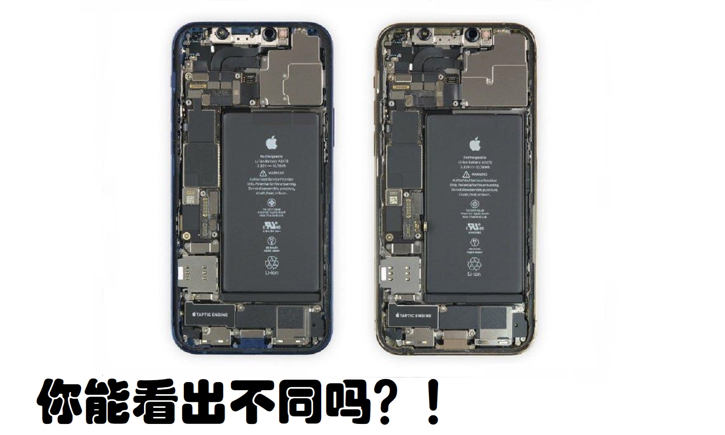 傻傻分不清楚 Iphone12和iphone12pro内部一模一样 科技资讯 英雄联盟lol