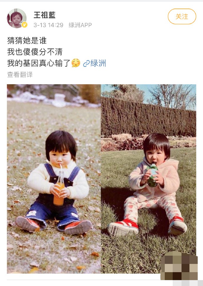 王祖蓝晒出女儿与老婆童年照,直呼分不清楚,网友表示太像妈妈