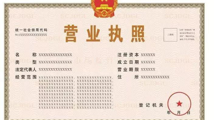什么是法人，法人代表干什么