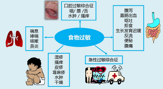 考拉海购