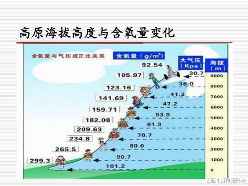 鸟类强大的飞行能力背后 做了哪些牺牲 一文了解飞行的秘密 文化资讯 娱乐新闻网
