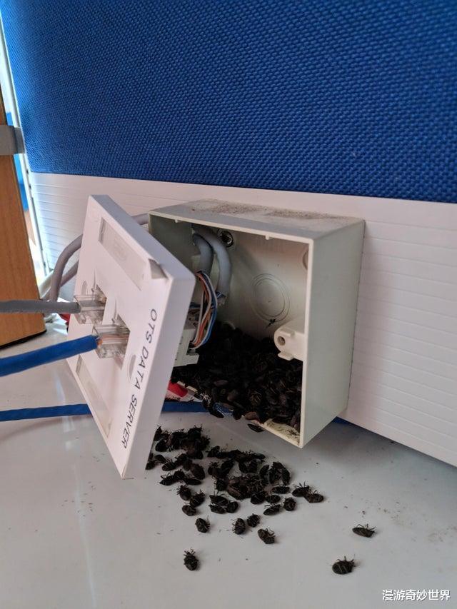 |让技术人员感到崩溃27个瞬间