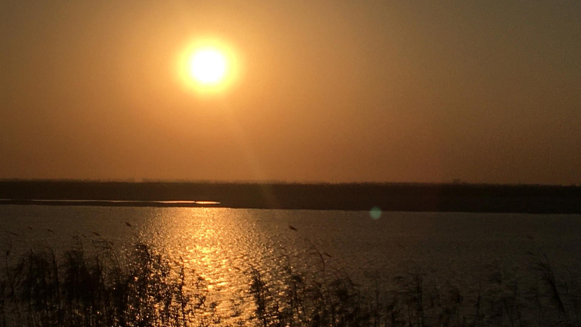 荆州第一打油诗人 【诗鸟谐趣】在洪湖居然可以看朝阳从江面升起！