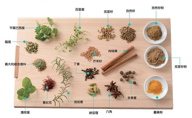 另外有一种跟小茴香长得很像的香料叫茴香籽(fennel,乍看相似但颜色