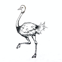 鸵鸟心理