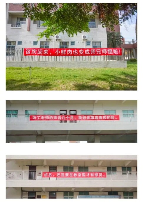 娱乐新闻网