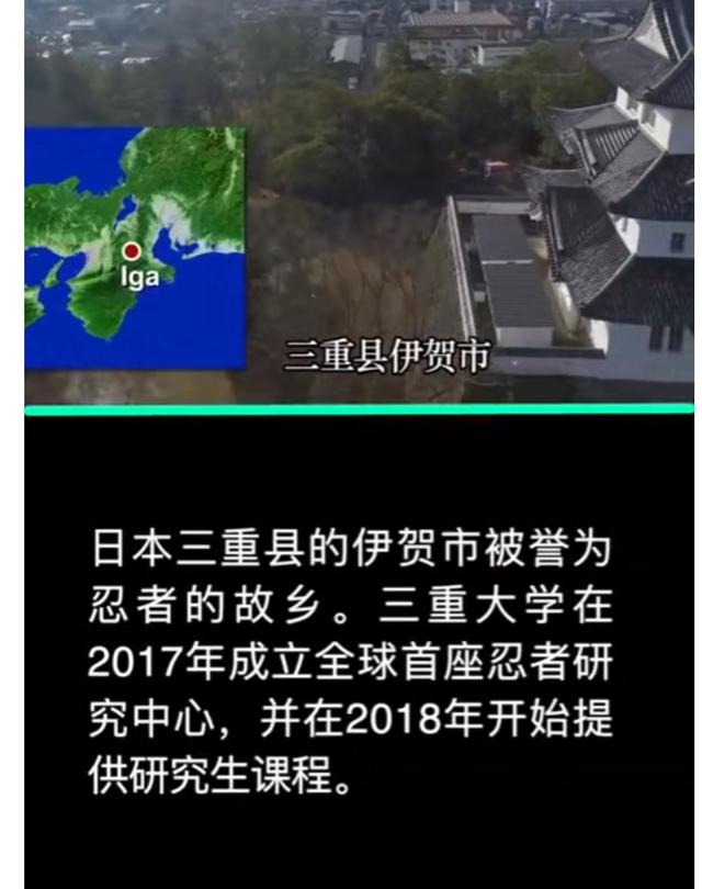 考拉海购