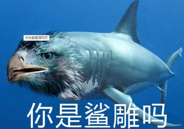 那些年,你取过怎么样的沙雕网名,现在回忆起来想抽自己的那种