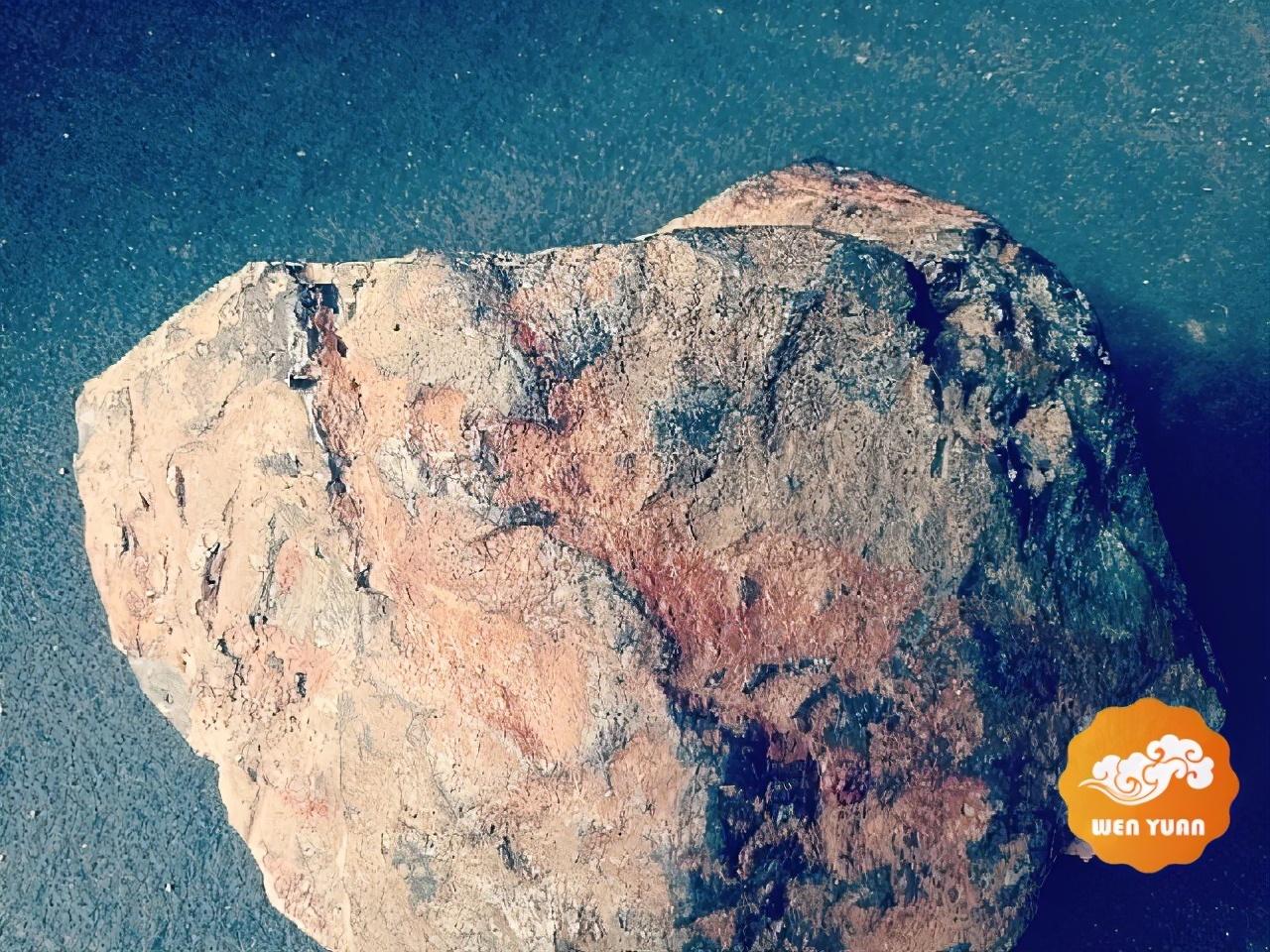 八戒游戏