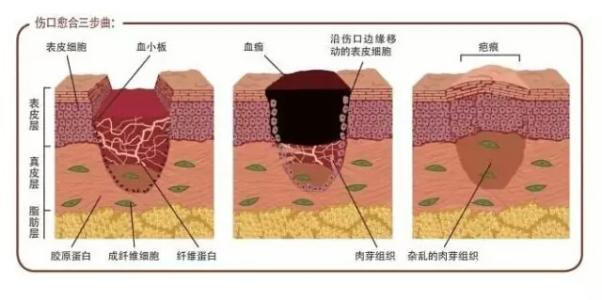 娱乐新闻