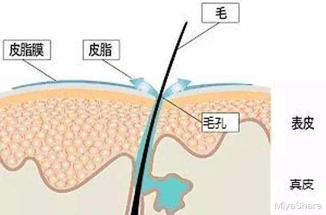 为什么很多人抗痘多年 依旧为痘痘所困扰 她们到底哪里做错了 时尚资讯 娱乐新闻网