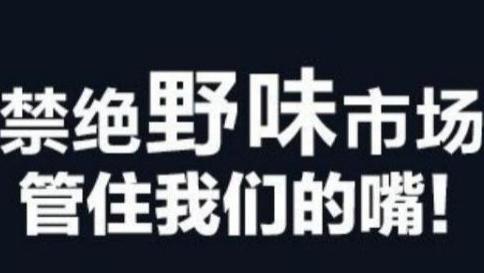 新型冠状病毒传染源：能和多种病毒共存，“发烧”成常态