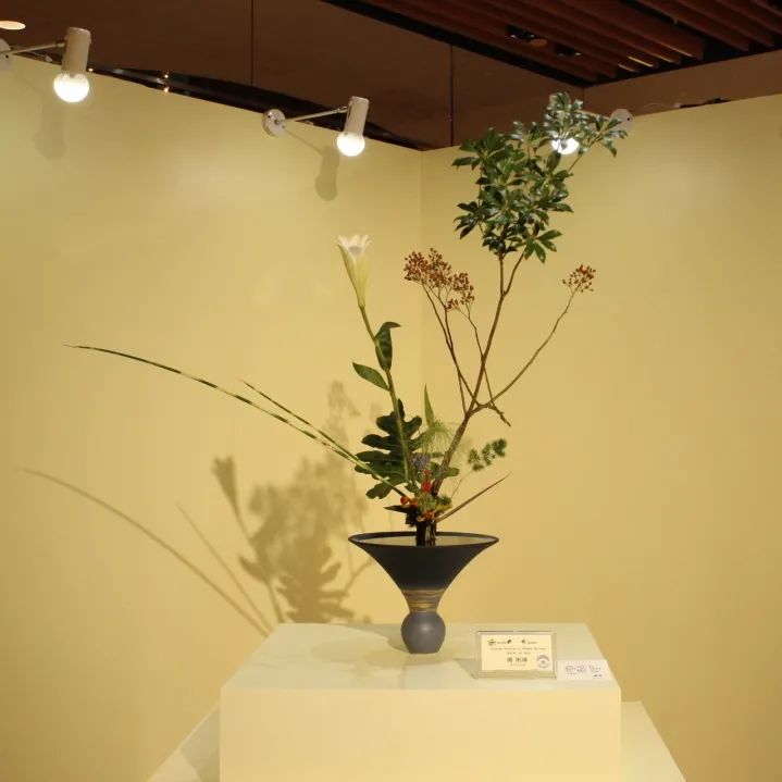 有着556年的历史传承 高岛屋的 花道 展值得一去 未分类资讯 八戒游戏