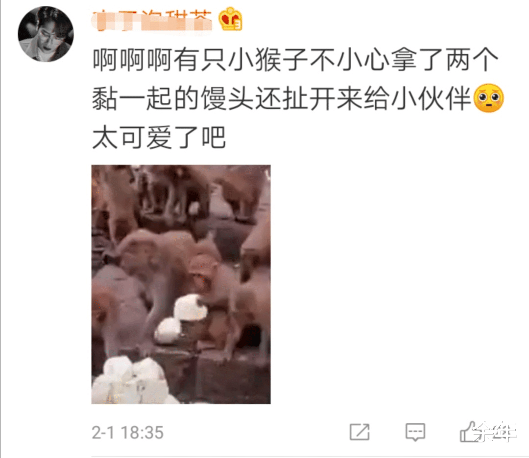 被沙雕网友玩坏了的灵山猴子,"拿俩馒头的你给我站住!