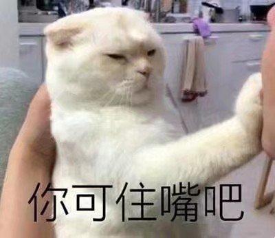 人人都爱表情包图片:打爆你的狗头