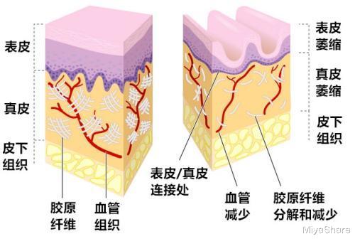 6dabbc9362d2ede5e941bce193e7e246.jpg
