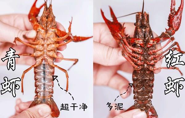 СϺʱ,ѡϺǺϺϰ˵©,´α